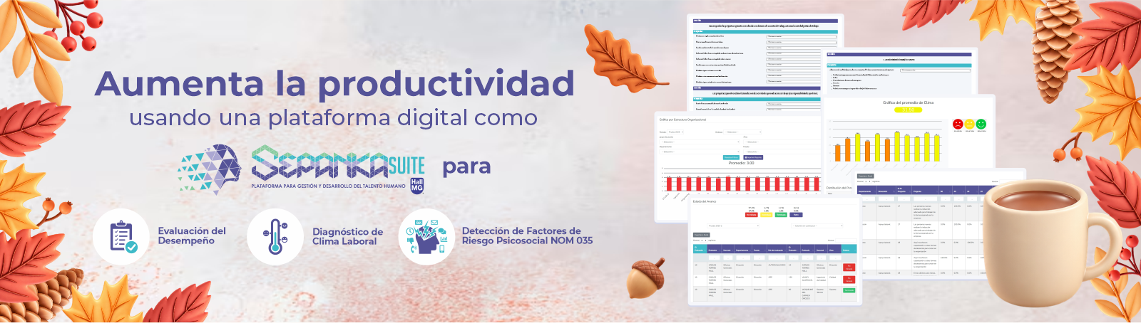 Banner Principal 1