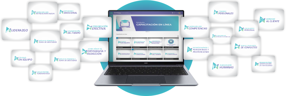 cursos